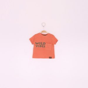 Conjunto bebe niño camiseta y pantalon-ALM-190031-Street Monkey
